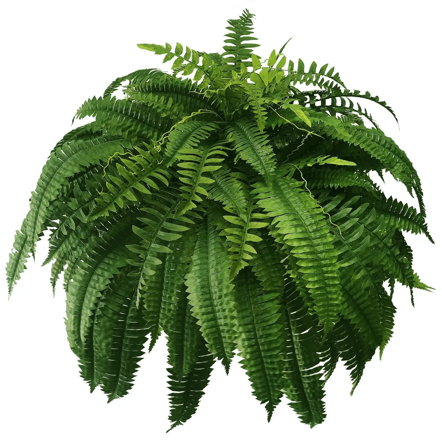 Last Day Discount:80% OFF UV Resistant Lifelike Artificial Boston Fern 🪴