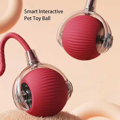 🔥Last Day Promotion 49% OFF🔥TIMNAMY™ Smart Chase Pet Toy Ball🐱🐕-🎁Smart Gaming Companion For Your Pet