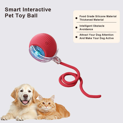 🔥Last Day Promotion 49% OFF🔥TIMNAMY™ Smart Chase Pet Toy Ball🐱🐕-🎁Smart Gaming Companion For Your Pet
