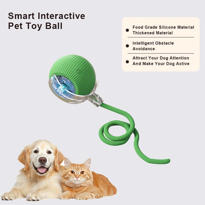 🔥Last Day Promotion 49% OFF🔥TIMNAMY™ Smart Chase Pet Toy Ball🐱🐕-🎁Smart Gaming Companion For Your Pet