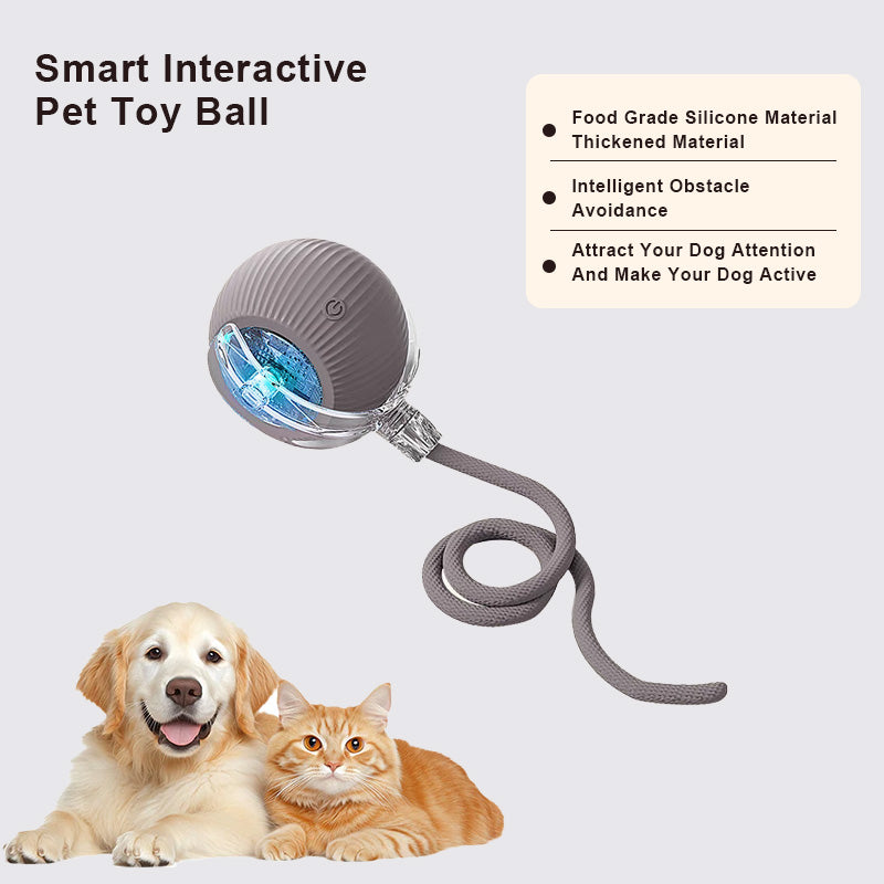 🔥Last Day Promotion 49% OFF🔥TIMNAMY™ Smart Chase Pet Toy Ball🐱🐕-🎁Smart Gaming Companion For Your Pet