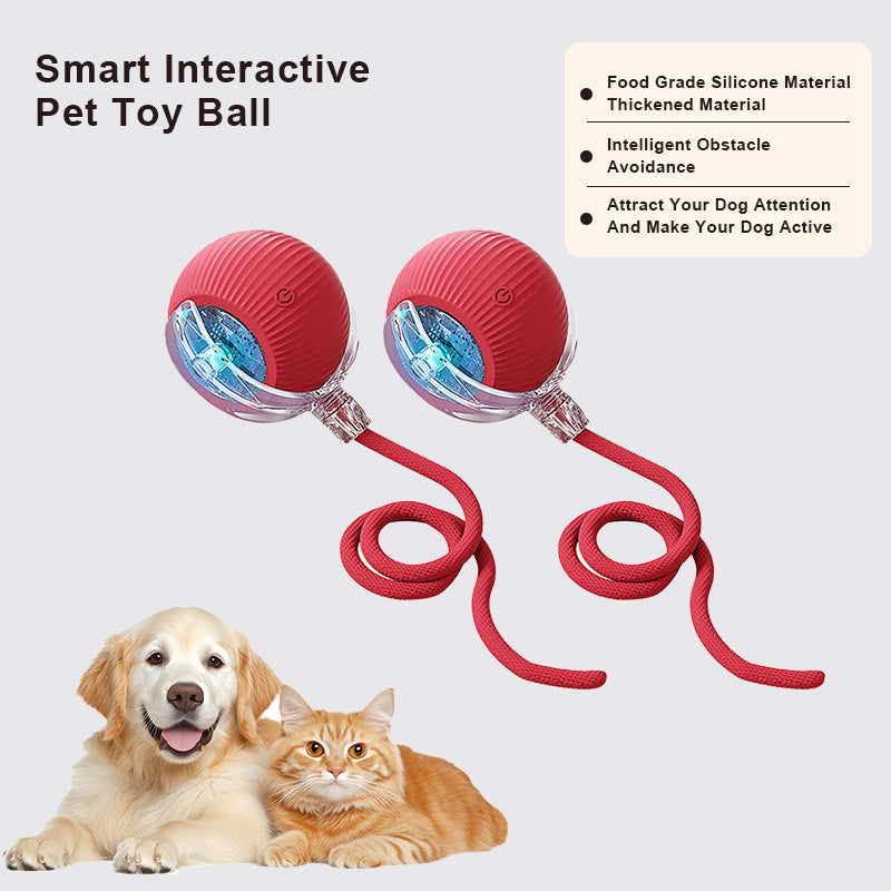 🔥Last Day Promotion 49% OFF🔥TIMNAMY™ Smart Chase Pet Toy Ball🐱🐕-🎁Smart Gaming Companion For Your Pet