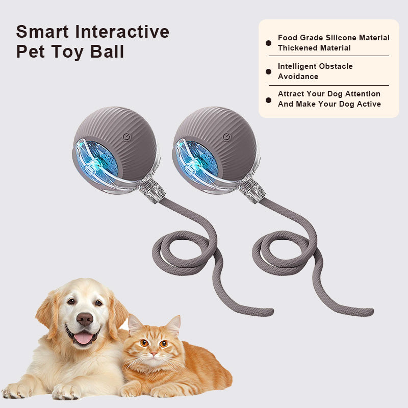 🔥Last Day Promotion 49% OFF🔥TIMNAMY™ Smart Chase Pet Toy Ball🐱🐕-🎁Smart Gaming Companion For Your Pet