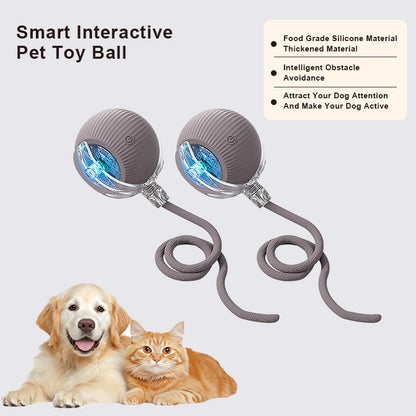 🔥Last Day Promotion 49% OFF🔥TIMNAMY™ Smart Chase Pet Toy Ball🐱🐕-🎁Smart Gaming Companion For Your Pet