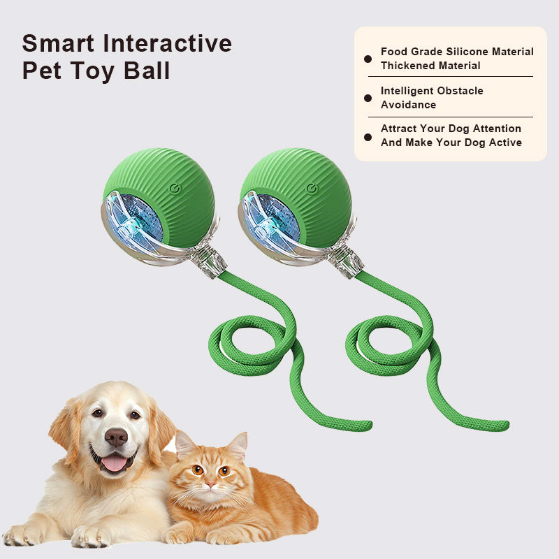 🔥Last Day Promotion 49% OFF🔥TIMNAMY™ Smart Chase Pet Toy Ball🐱🐕-🎁Smart Gaming Companion For Your Pet