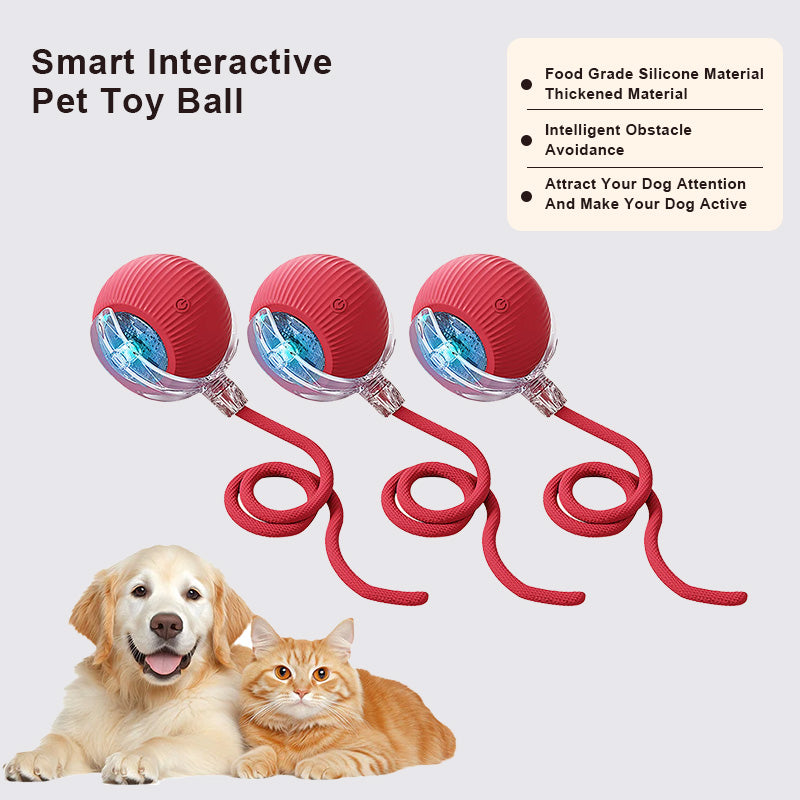 🔥Last Day Promotion 49% OFF🔥TIMNAMY™ Smart Chase Pet Toy Ball🐱🐕-🎁Smart Gaming Companion For Your Pet