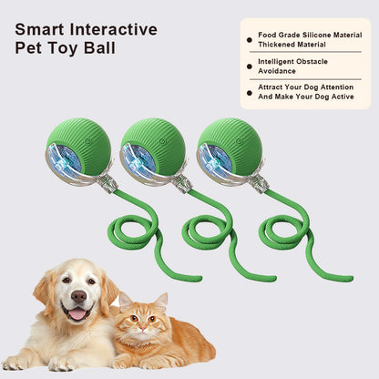 🔥Last Day Promotion 49% OFF🔥TIMNAMY™ Smart Chase Pet Toy Ball🐱🐕-🎁Smart Gaming Companion For Your Pet