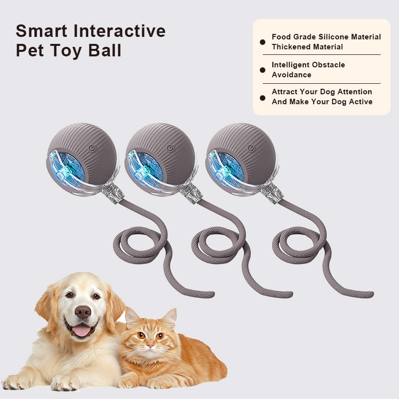 🔥Last Day Promotion 49% OFF🔥TIMNAMY™ Smart Chase Pet Toy Ball🐱🐕-🎁Smart Gaming Companion For Your Pet