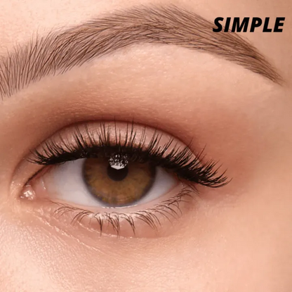 Buy 1 Get 1 Free🔥TIMNAMY™ Reusable Magnetic Eyelashes