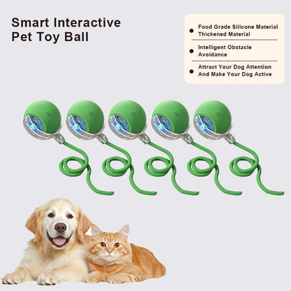 🔥Last Day Promotion 49% OFF🔥TIMNAMY™ Smart Chase Pet Toy Ball🐱🐕-🎁Smart Gaming Companion For Your Pet