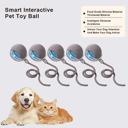 🔥Last Day Promotion 49% OFF🔥TIMNAMY™ Smart Chase Pet Toy Ball🐱🐕-🎁Smart Gaming Companion For Your Pet