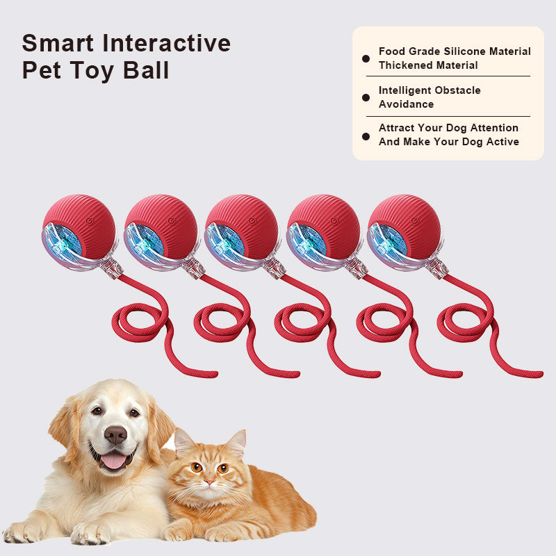 🔥Last Day Promotion 49% OFF🔥TIMNAMY™ Smart Chase Pet Toy Ball🐱🐕-🎁Smart Gaming Companion For Your Pet