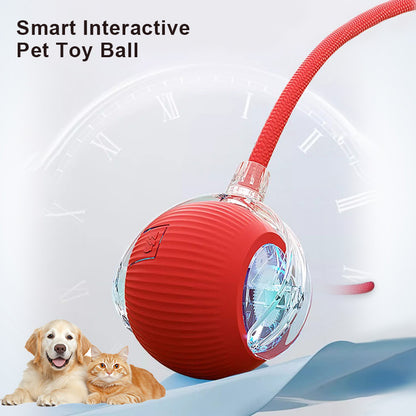 🔥Last Day Promotion 49% OFF🔥TIMNAMY™ Smart Chase Pet Toy Ball🐱🐕-🎁Smart Gaming Companion For Your Pet