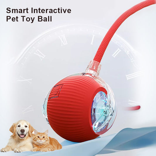 🔥Last Day Promotion 49% OFF🔥TIMNAMY™ Smart Chase Pet Toy Ball🐱🐕-🎁Smart Gaming Companion For Your Pet