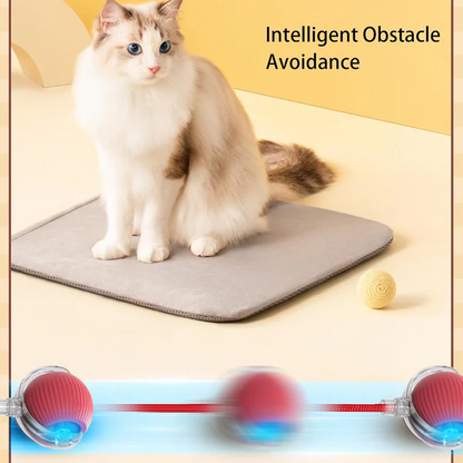 🔥Last Day Promotion 49% OFF🔥TIMNAMY™ Smart Chase Pet Toy Ball🐱🐕-🎁Smart Gaming Companion For Your Pet