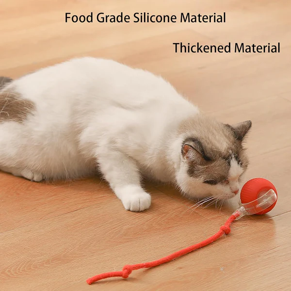 🔥Last Day Promotion 49% OFF🔥TIMNAMY™ Smart Chase Pet Toy Ball🐱🐕-🎁Smart Gaming Companion For Your Pet
