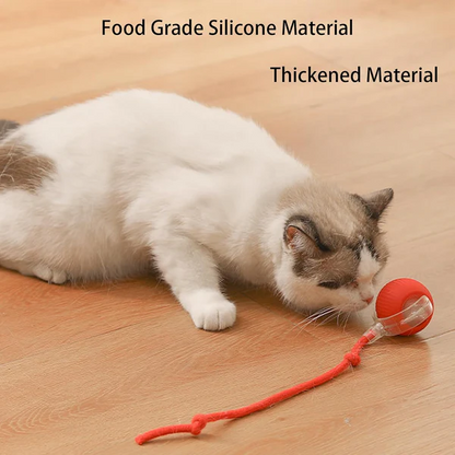 🔥Last Day Promotion 49% OFF🔥TIMNAMY™ Smart Chase Pet Toy Ball🐱🐕-🎁Smart Gaming Companion For Your Pet